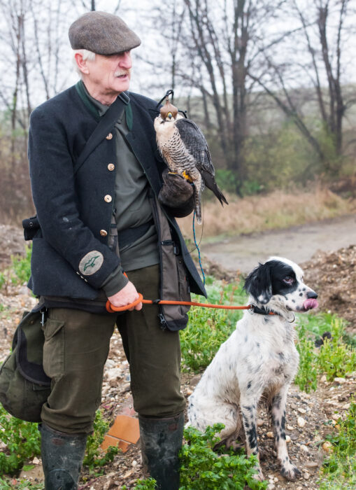 Falkner Fritz Eggenreich mit Wanderfalke