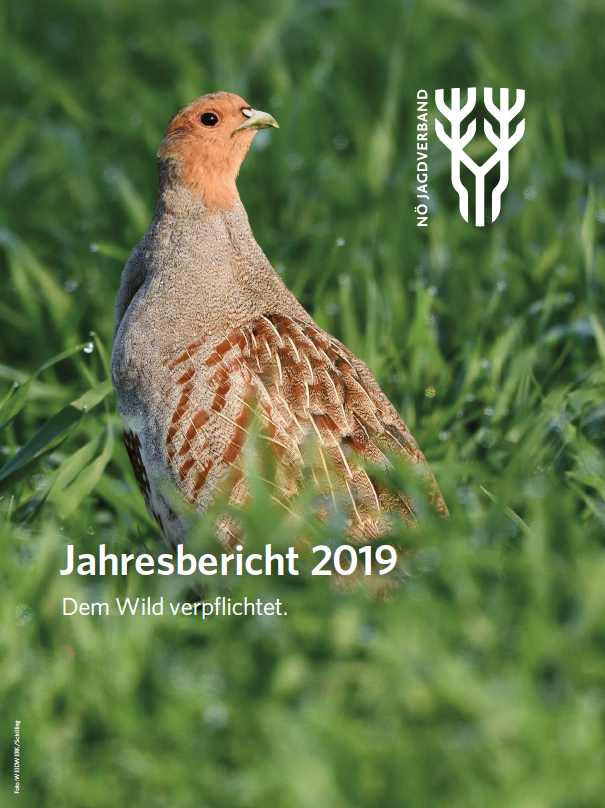 Cover des Jahresberichts 2019