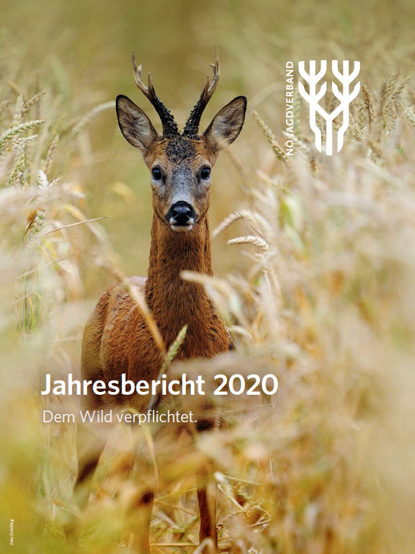 Cover des Jahresberichts 2020