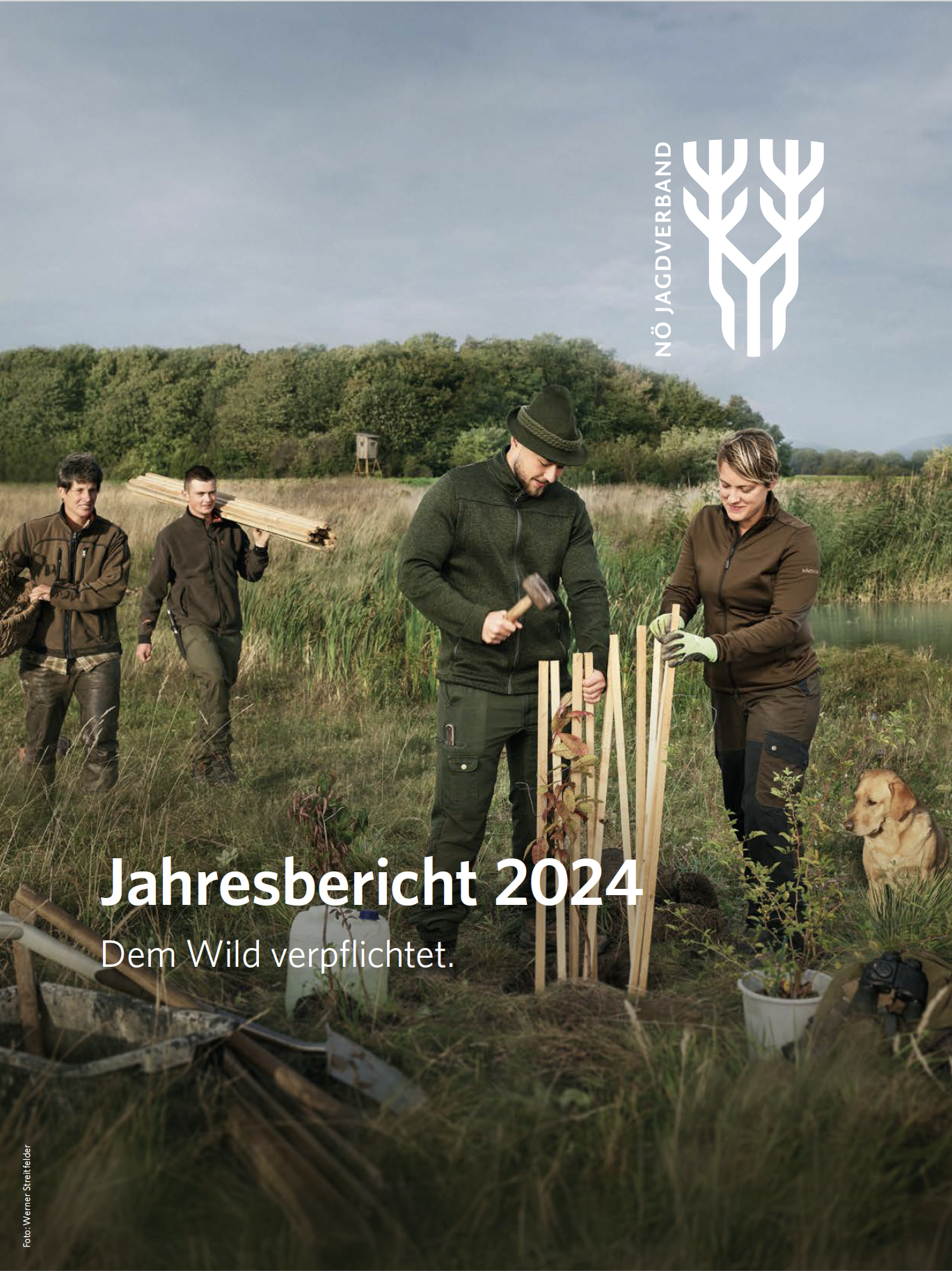 Jahresbericht 2024
