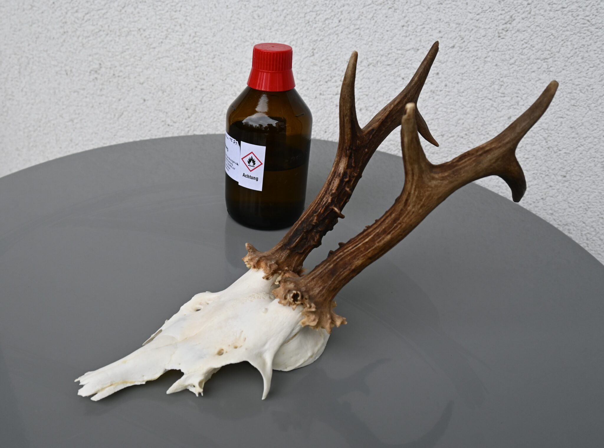 Bleichmittel Wasserstoffperoxid Niederösterreichischer Landesjagdverband