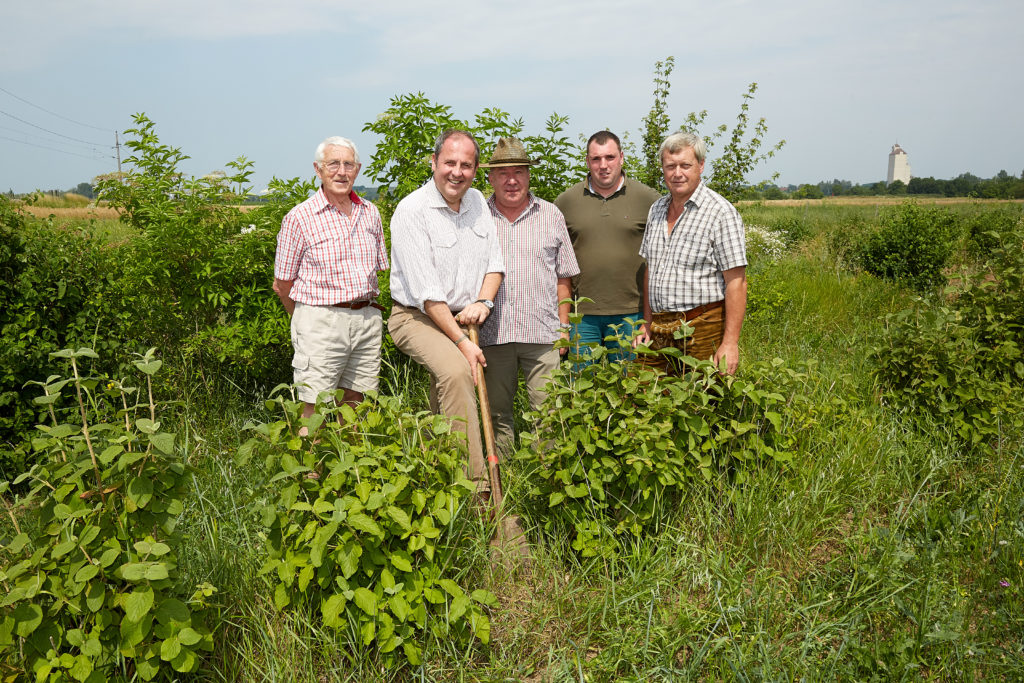 Heinz Kurazacz, Josef Pröll, Alfred Schwanzer, Stefan Detter und Herbert Dam auf Wildökolandaktionfläche