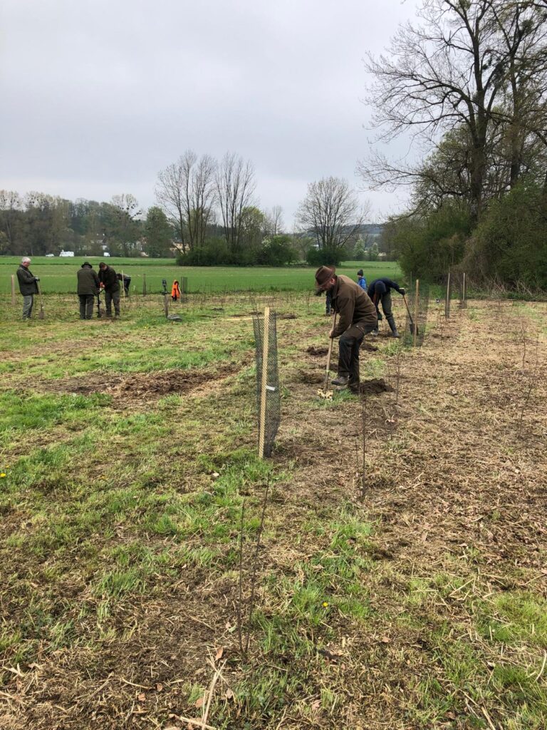 Lebensraumpreis25: Blindenmarkt